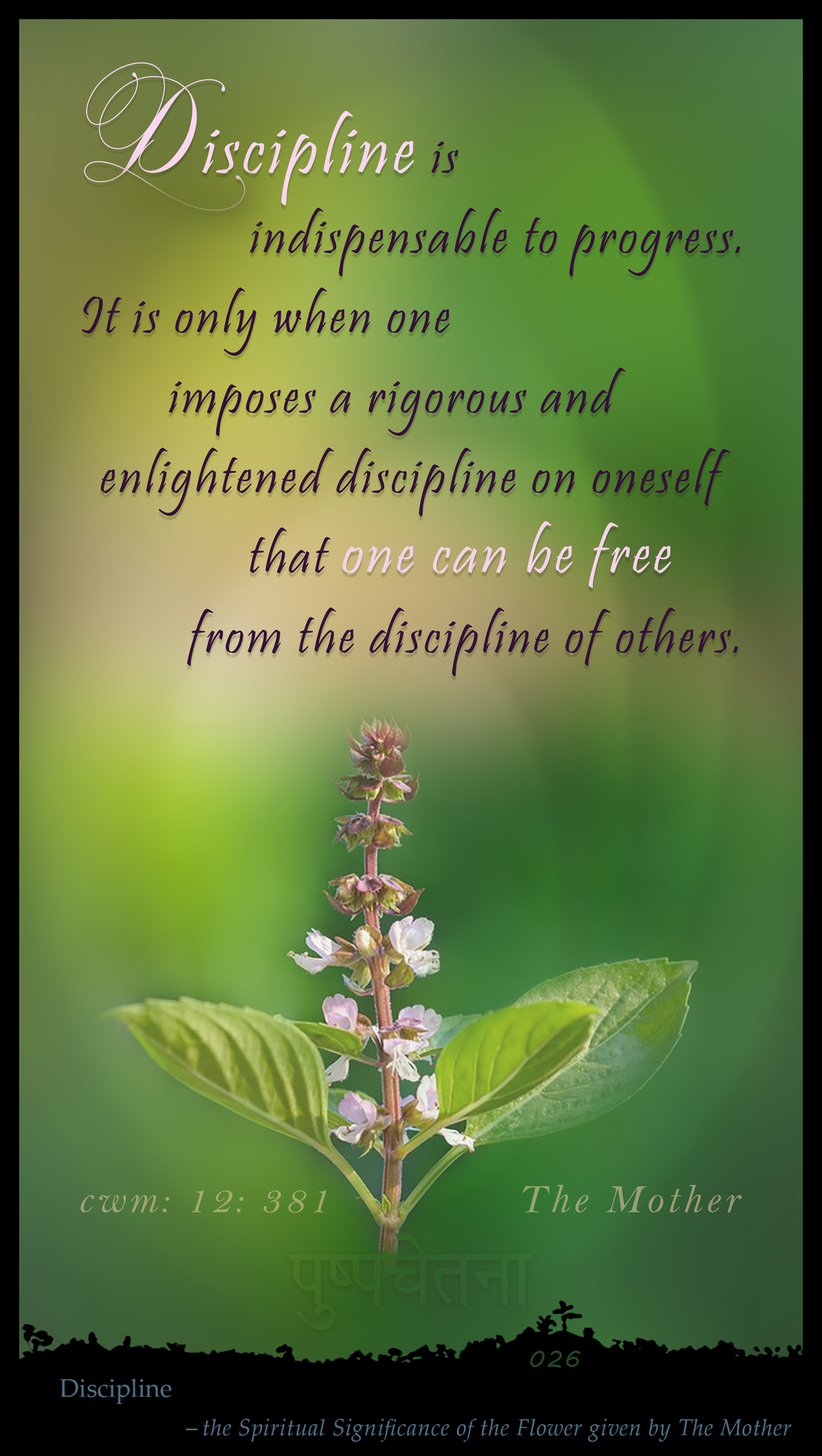 Discipline